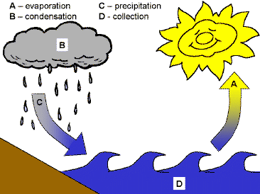 water cycle